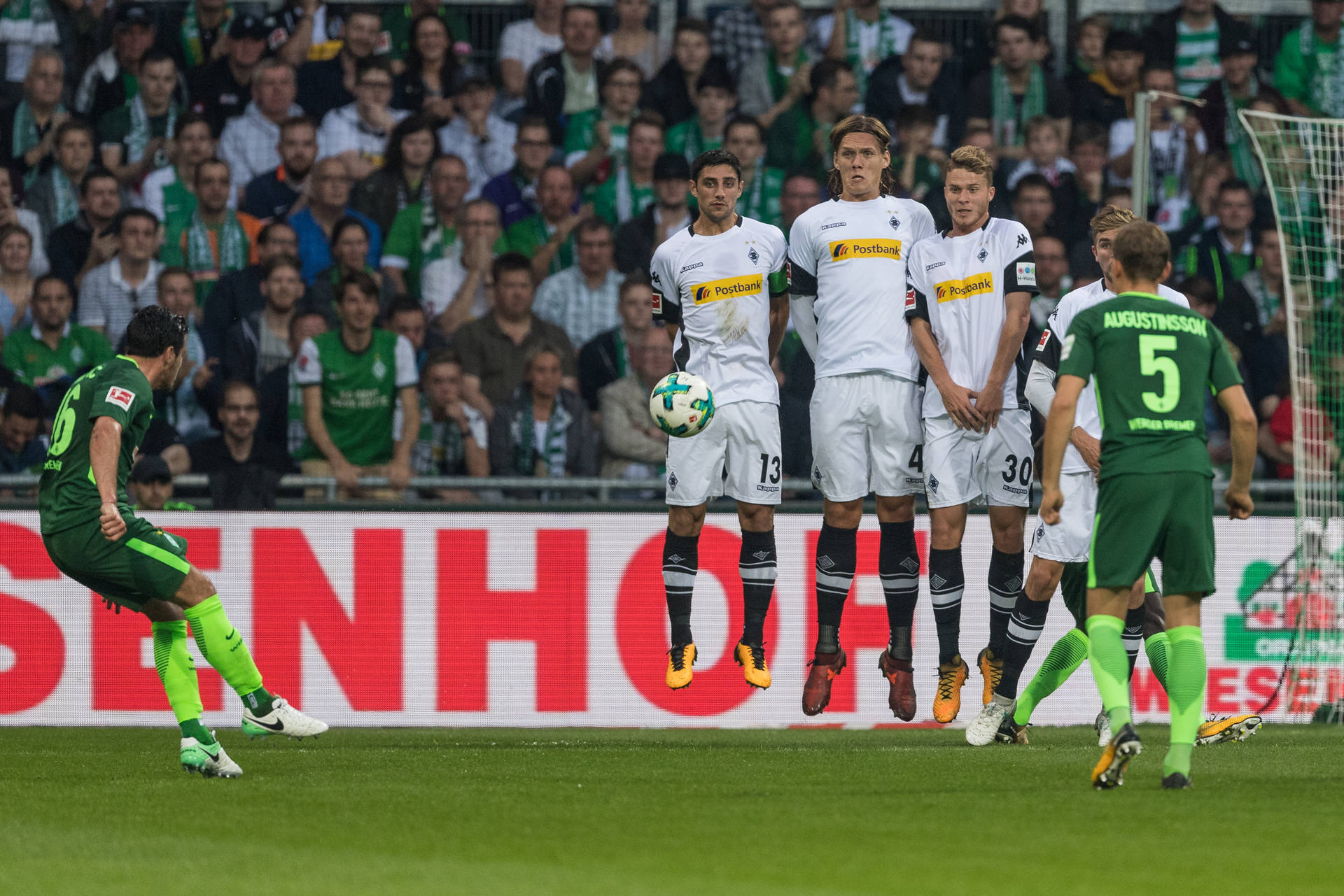 1吨-10吨茶籽油生产线