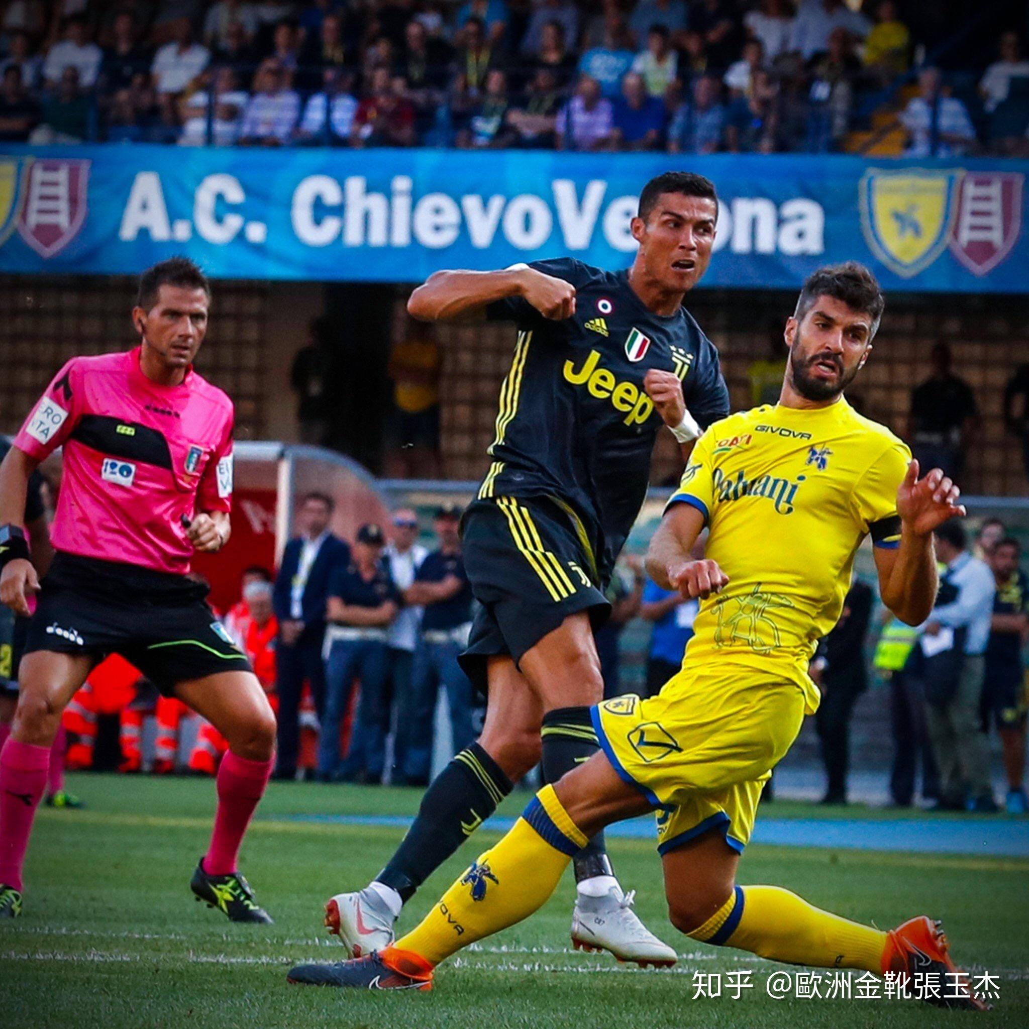 动物油脂精炼设备