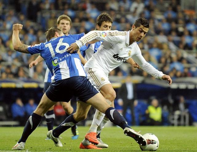 动物油脂精炼设备