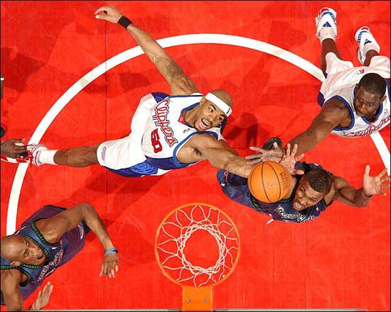 动物油脂精炼设备