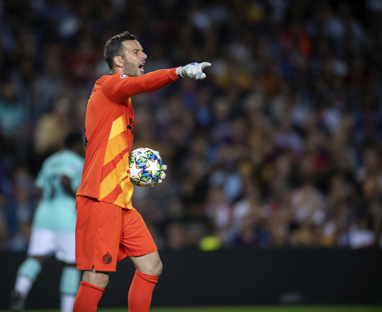 动物油脂精炼设备